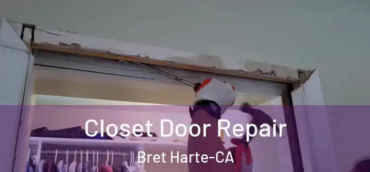  Closet Door Repair Bret Harte-CA