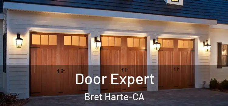  Door Expert Bret Harte-CA