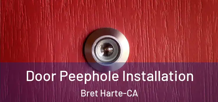  Door Peephole Installation Bret Harte-CA