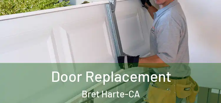  Door Replacement Bret Harte-CA