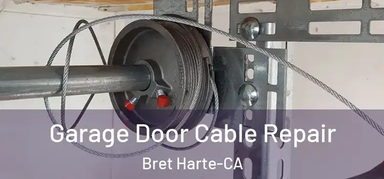  Garage Door Cable Repair Bret Harte-CA