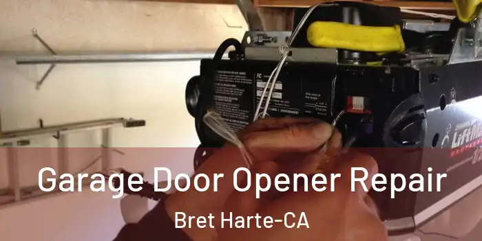  Garage Door Opener Repair Bret Harte-CA