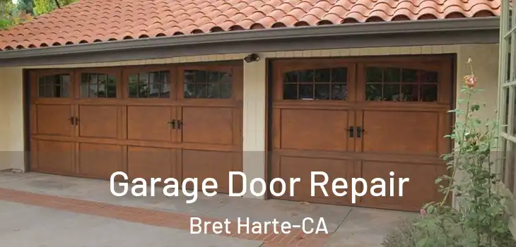  Garage Door Repair Bret Harte-CA