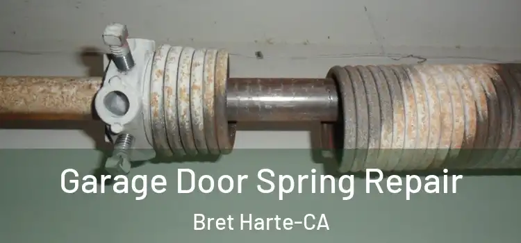  Garage Door Spring Repair Bret Harte-CA