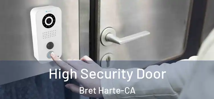  High Security Door Bret Harte-CA