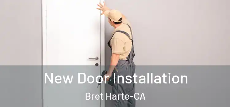  New Door Installation Bret Harte-CA