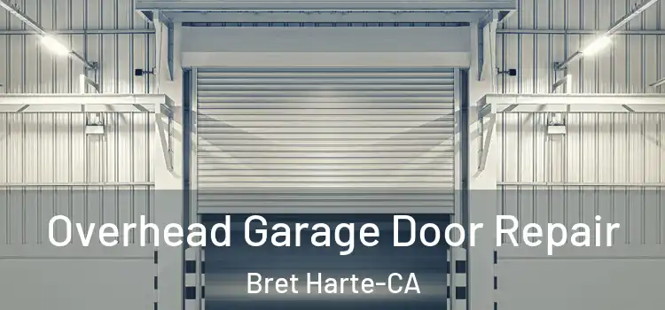  Overhead Garage Door Repair Bret Harte-CA