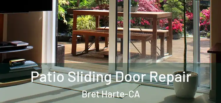  Patio Sliding Door Repair Bret Harte-CA