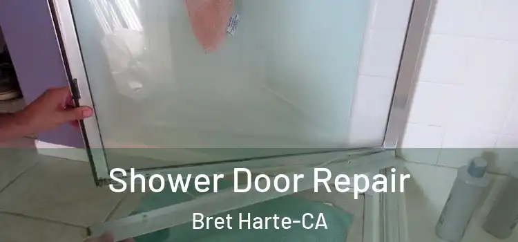  Shower Door Repair Bret Harte-CA