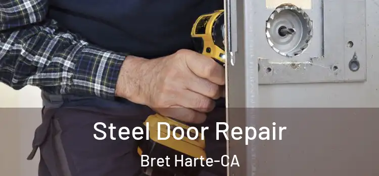  Steel Door Repair Bret Harte-CA